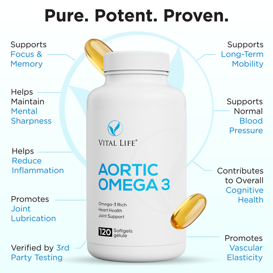 Aortic Omega 3