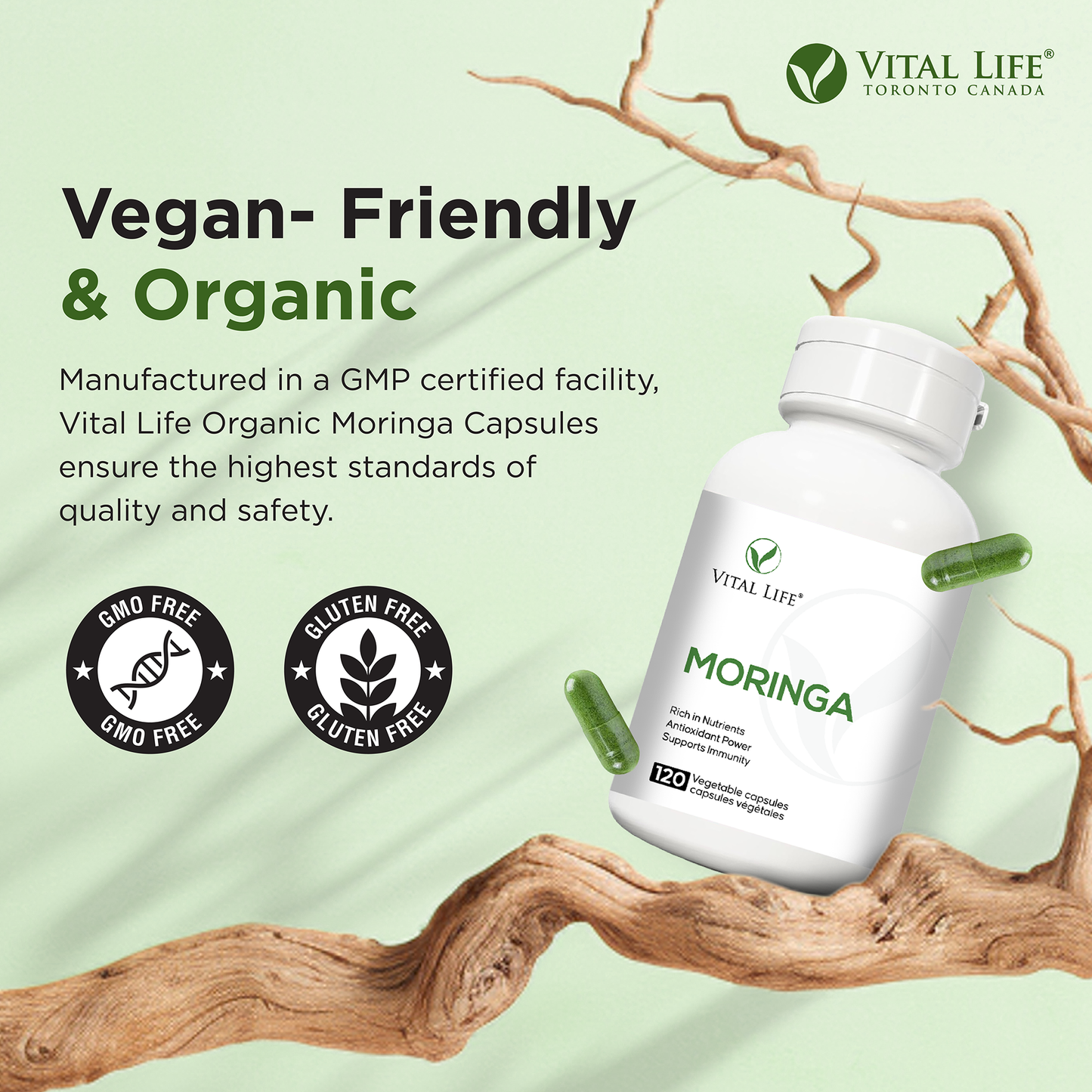 Moringa