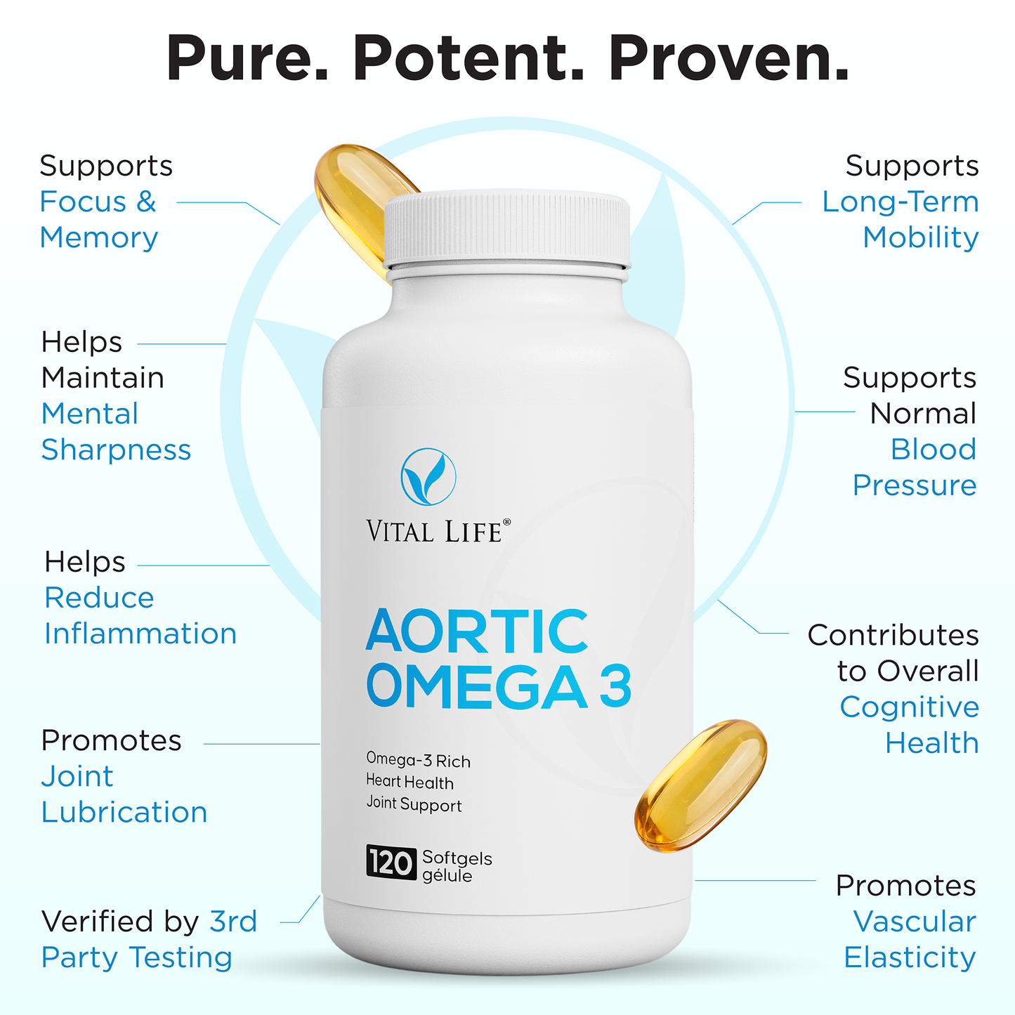 Aortic Omega 3
