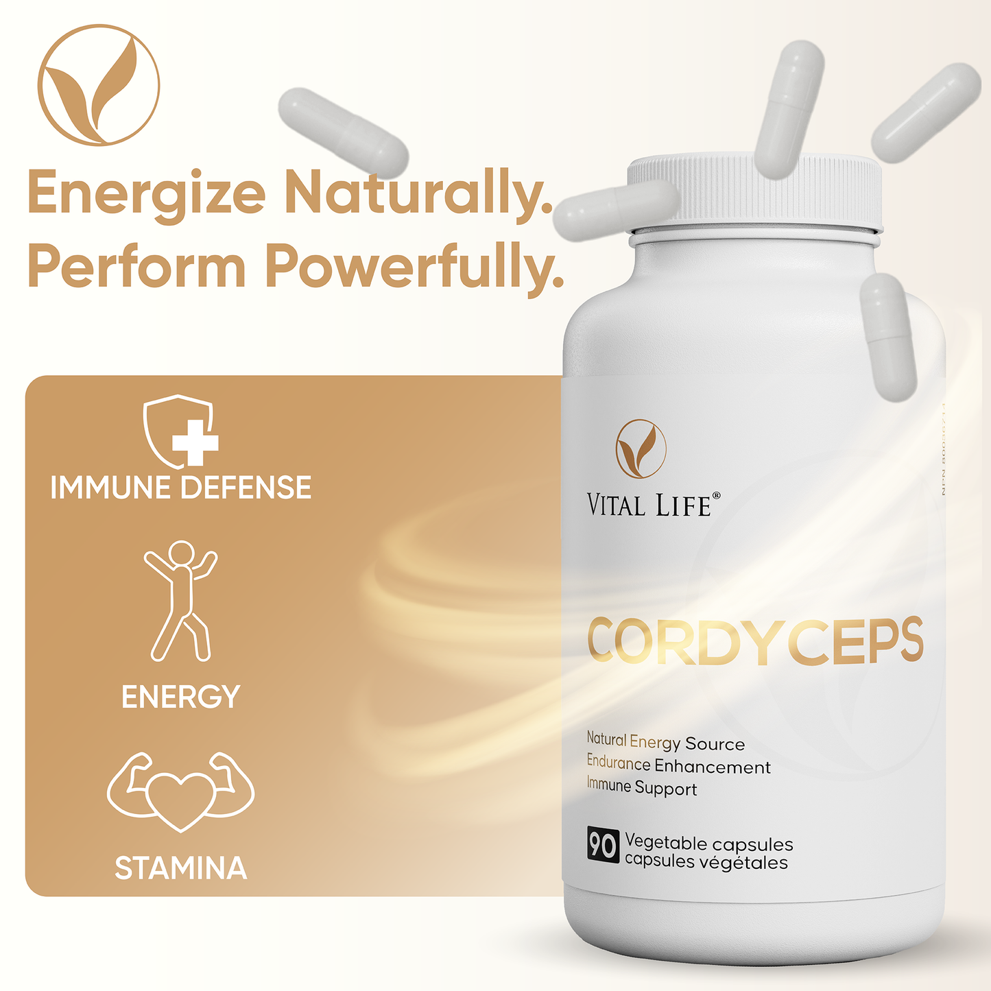 Cordyceps