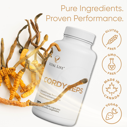 Cordyceps