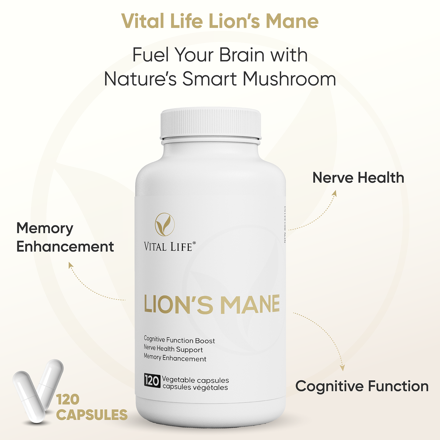 Vital Life Lion's Mane supplement bottle with text highlighting benefits on a light beige background