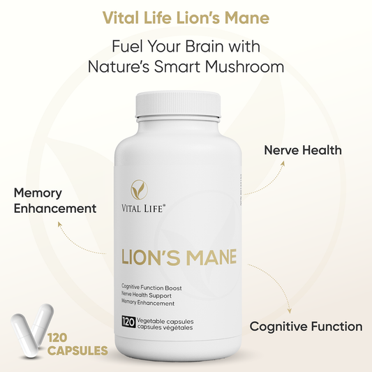 Vital Life Lion's Mane supplement bottle with text highlighting benefits on a light beige background