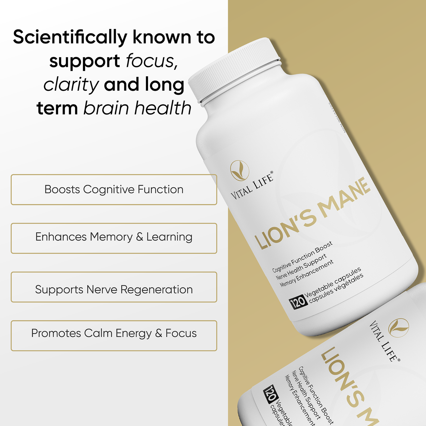 Vital Life Lion's Mane supplement bottle with text highlighting benefits on a beige background